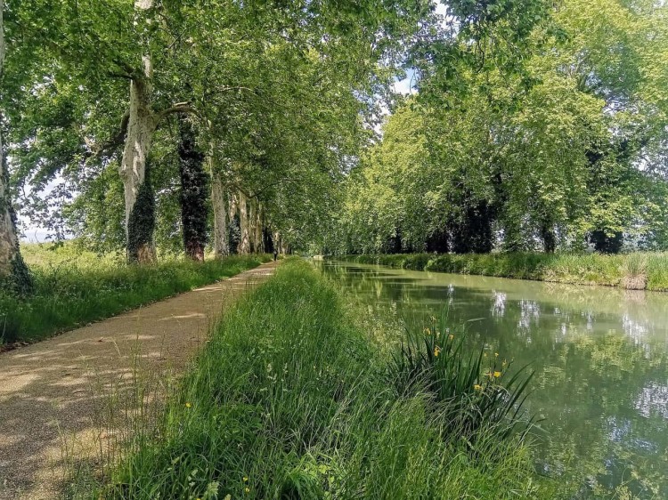 Chemin de halage du canal de Garonne sous les arbres, voie verte cyclable du canal des 2 mers