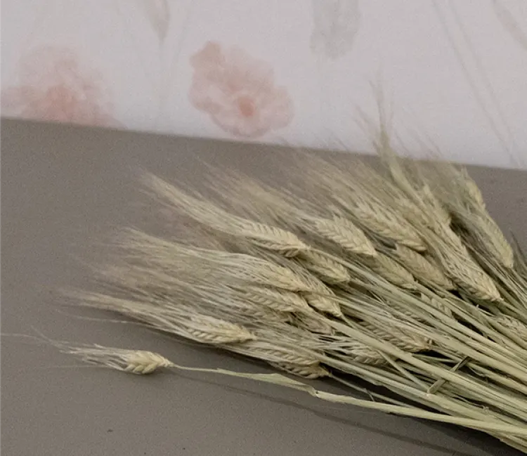 Bouquet d'épis de blé, décoration champêtre du gîte